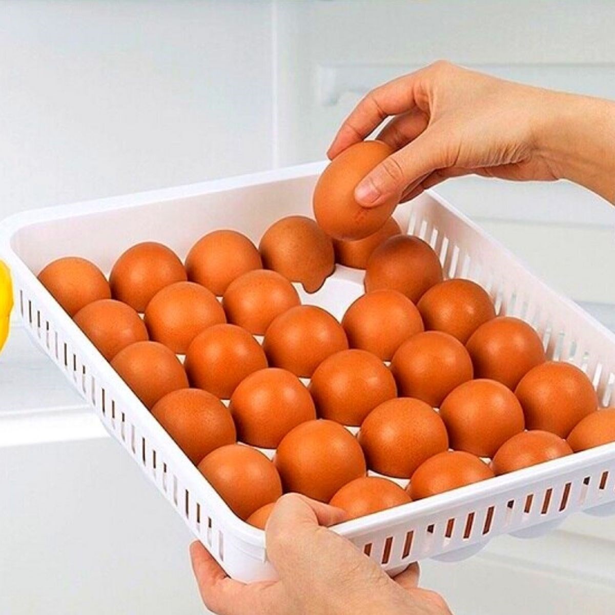 15'li Yumurta Saklama Kabı
