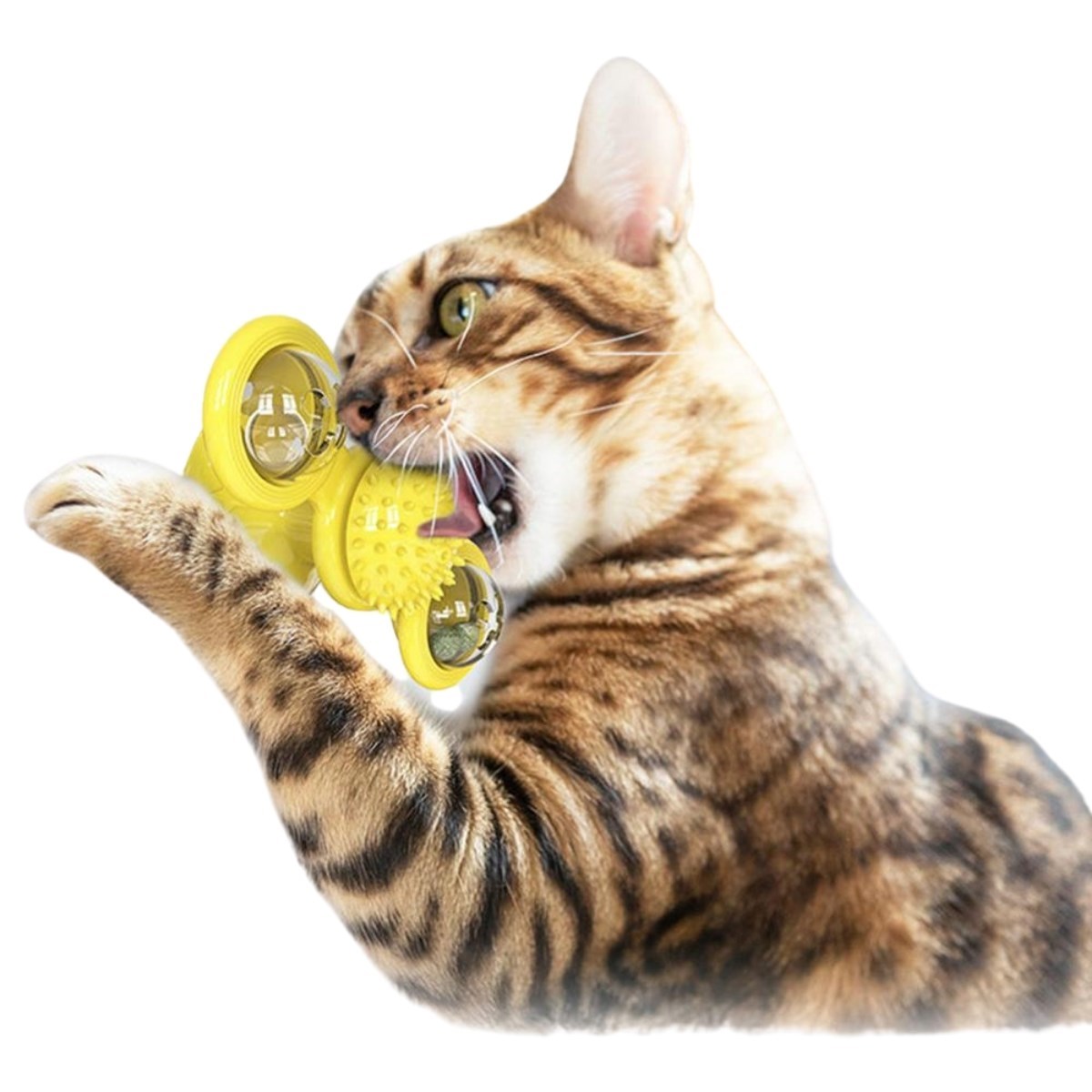 Pet Malzemeleri Vantuzlu Fırıldak Toplu Dönen Şeffaf Depo Tasarım İnteraktif Kedi Oyuncağı