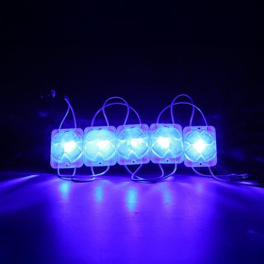 12 Volt 2 Watt Mavi Sabit 4333-3030 Modül Led