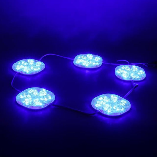 12 Volt 3 Watt Mavi Sabit 6565-2835 Modül Led