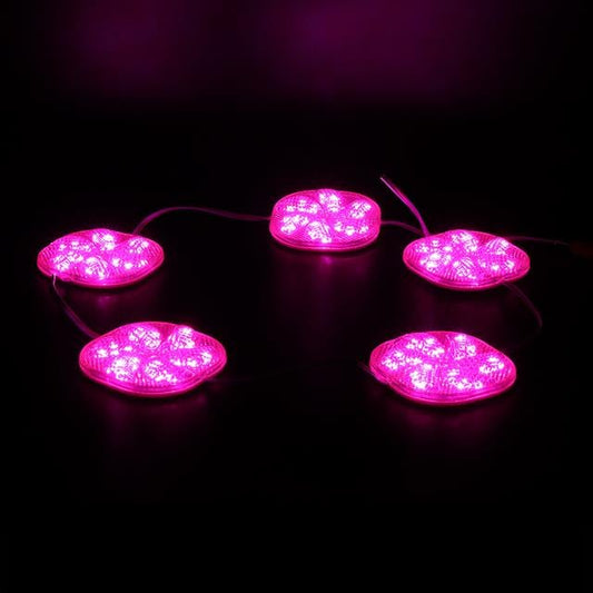12 Volt 3 Watt Pembe Sabit 6565-2835 Modül Led