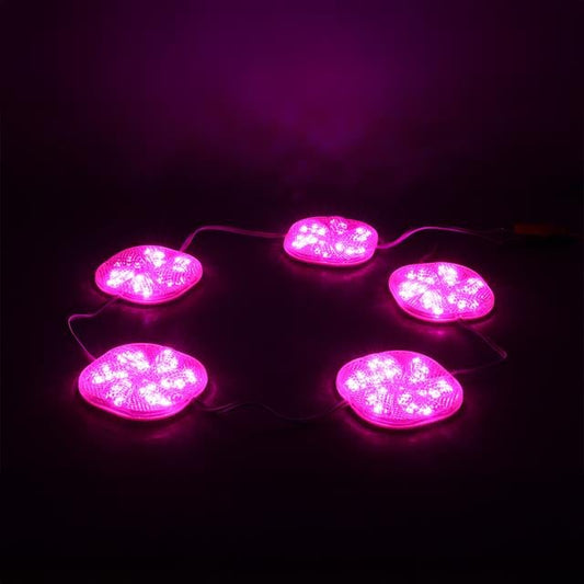 12 Volt 3 Watt Pembe Yanıp Sönen 6565-2835 Modül Led