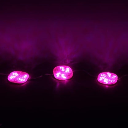 12 Volt 3 Watt Pembe Yanıp Sönen 6565-2835 Modül Led