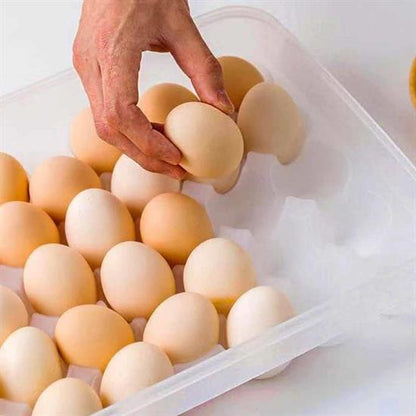 30&amp;apos;lu Yumurta Saklama Kabı
