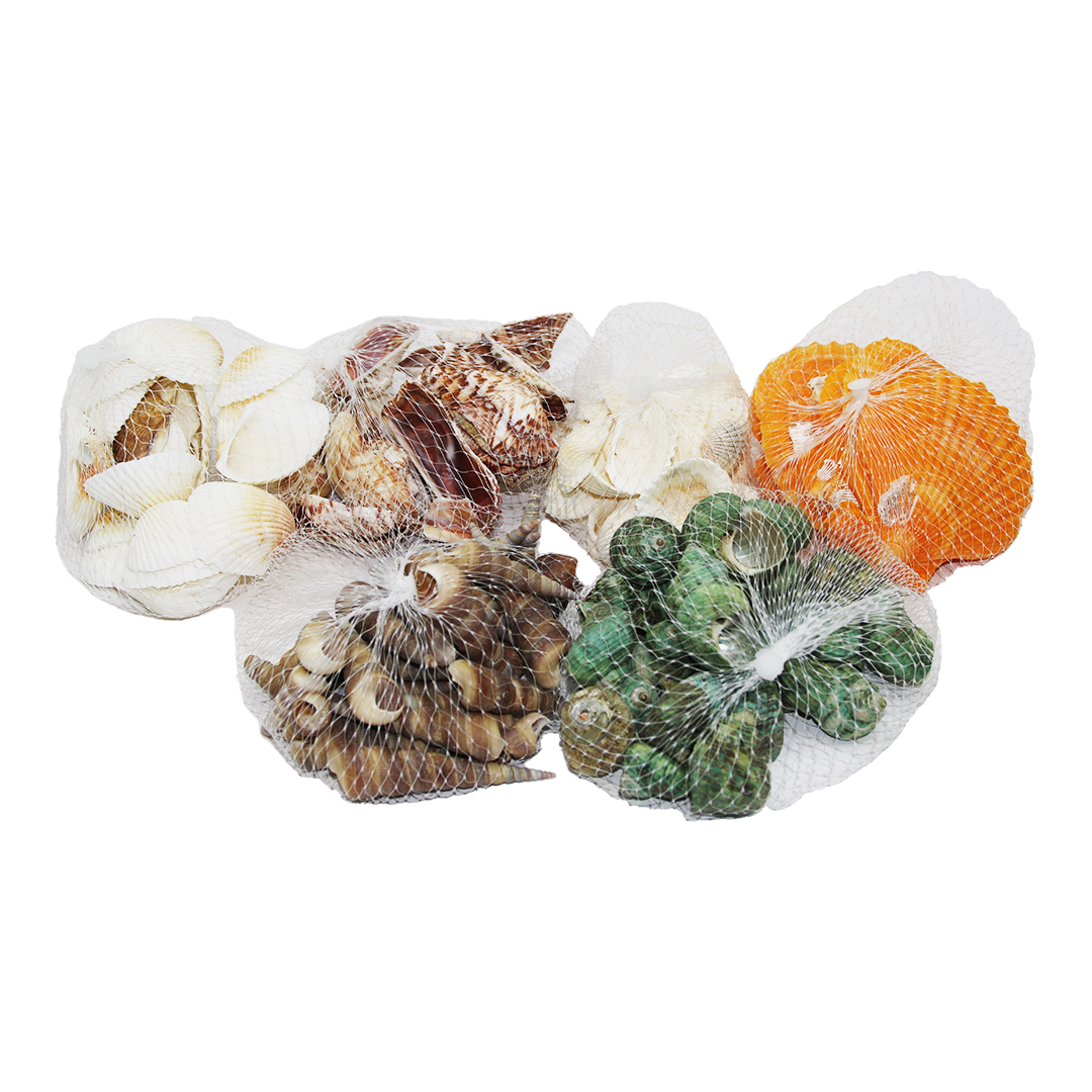 FİLELİ MİDYE DENİZ KABUK VAZO TAŞI RENKLİ MİX