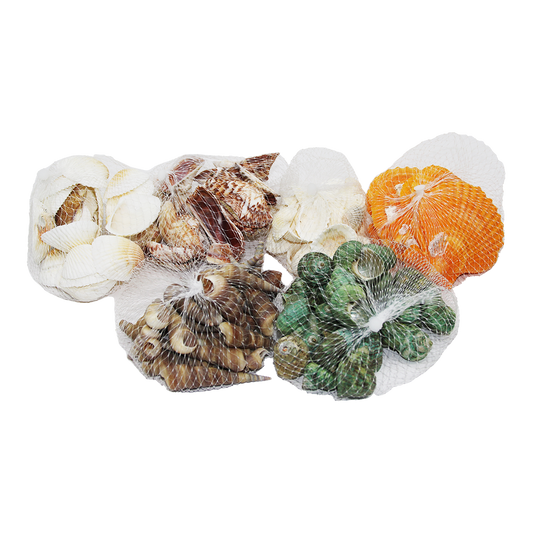 FİLELİ MİDYE DENİZ KABUK VAZO TAŞI RENKLİ MİX
